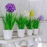 Italianway - Costaguta 75 * ラッパロ