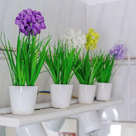 Appartement Italianway - Costaguta 75 Rapallo